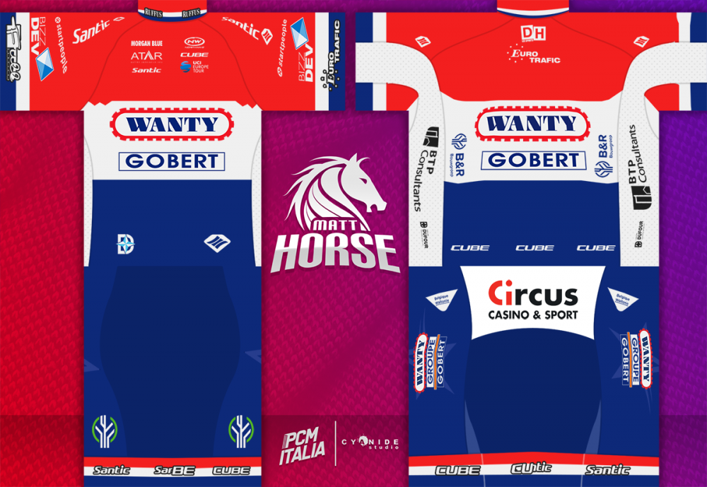 wgg_maillot_ned.png