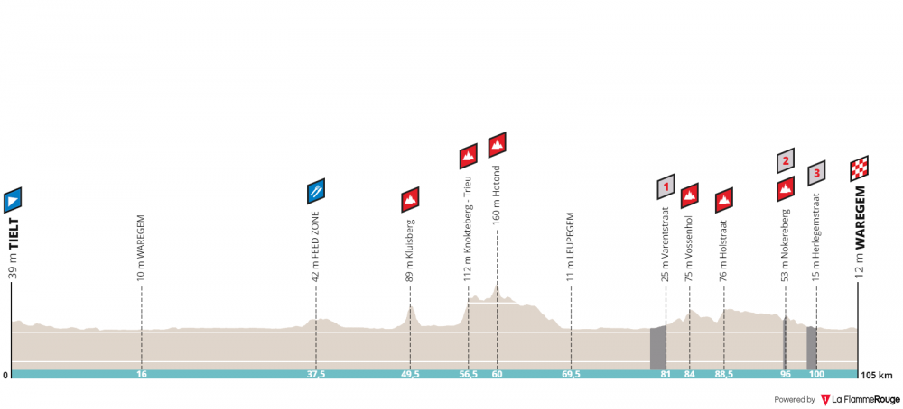 dwars-door-vlaanderen-a-travers-la-flandre-donne-elite-2019.png