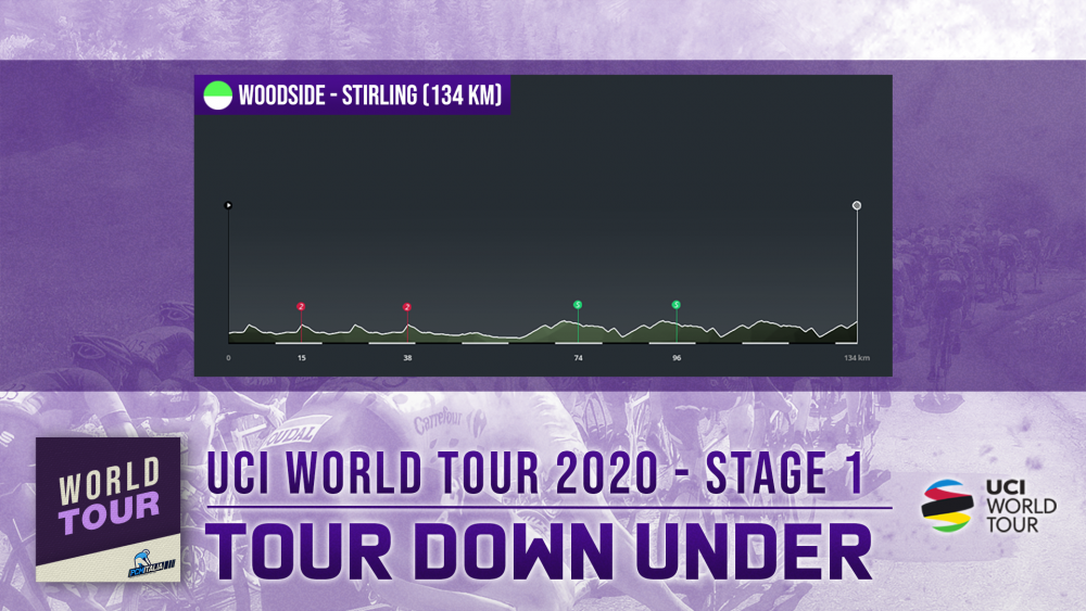 01_TDU_01.png