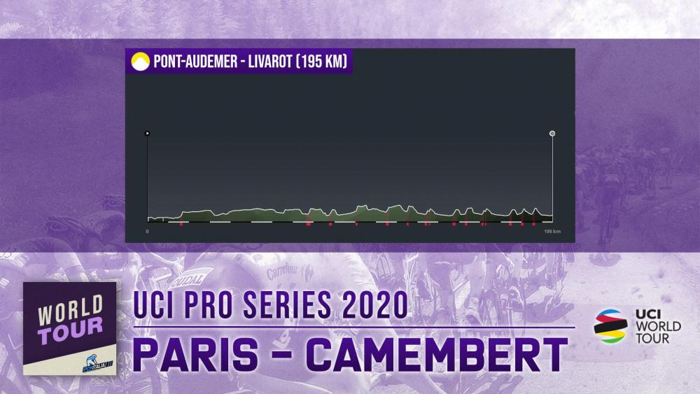 47_Camembert.jpg