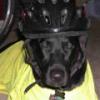 CyMDog